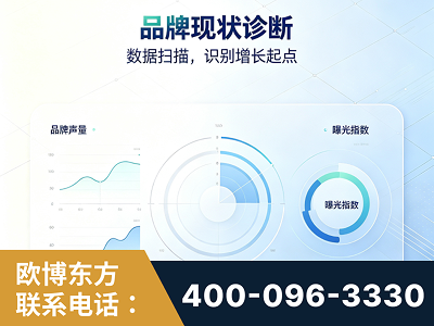 泰安-品牌现状诊断
