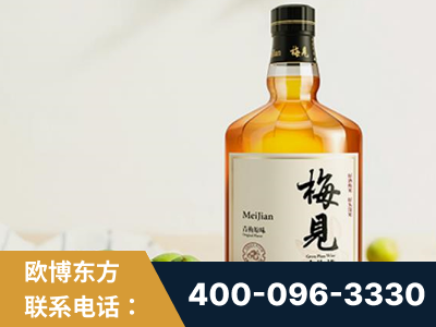 泰安-梅见青梅酒
